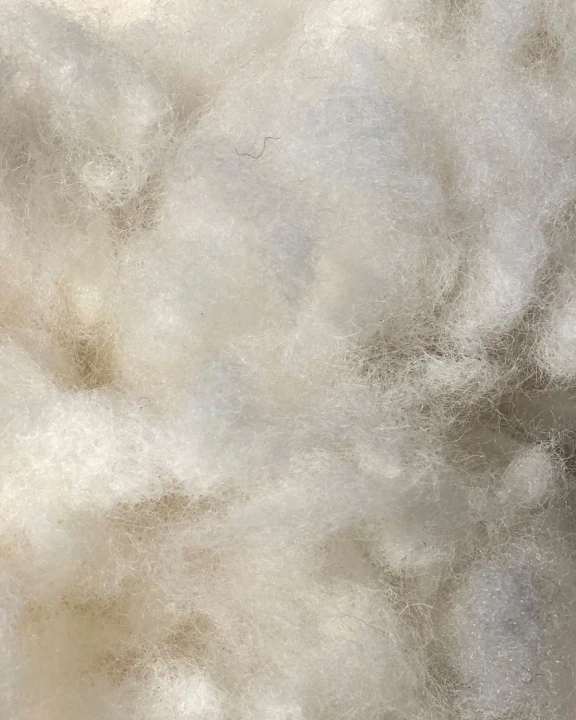 Zbliżenie na strukturę wełny luzem ISOLENA – naturalne włókna izolacyjne bez chemii i dodatków.