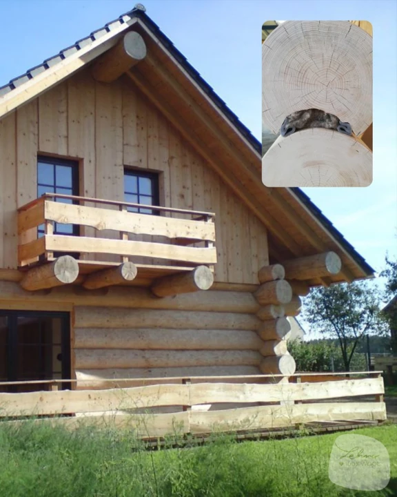 Dom z bali drewnianych z zastosowaną izolacją z owczej wełny ISOLENA między balami