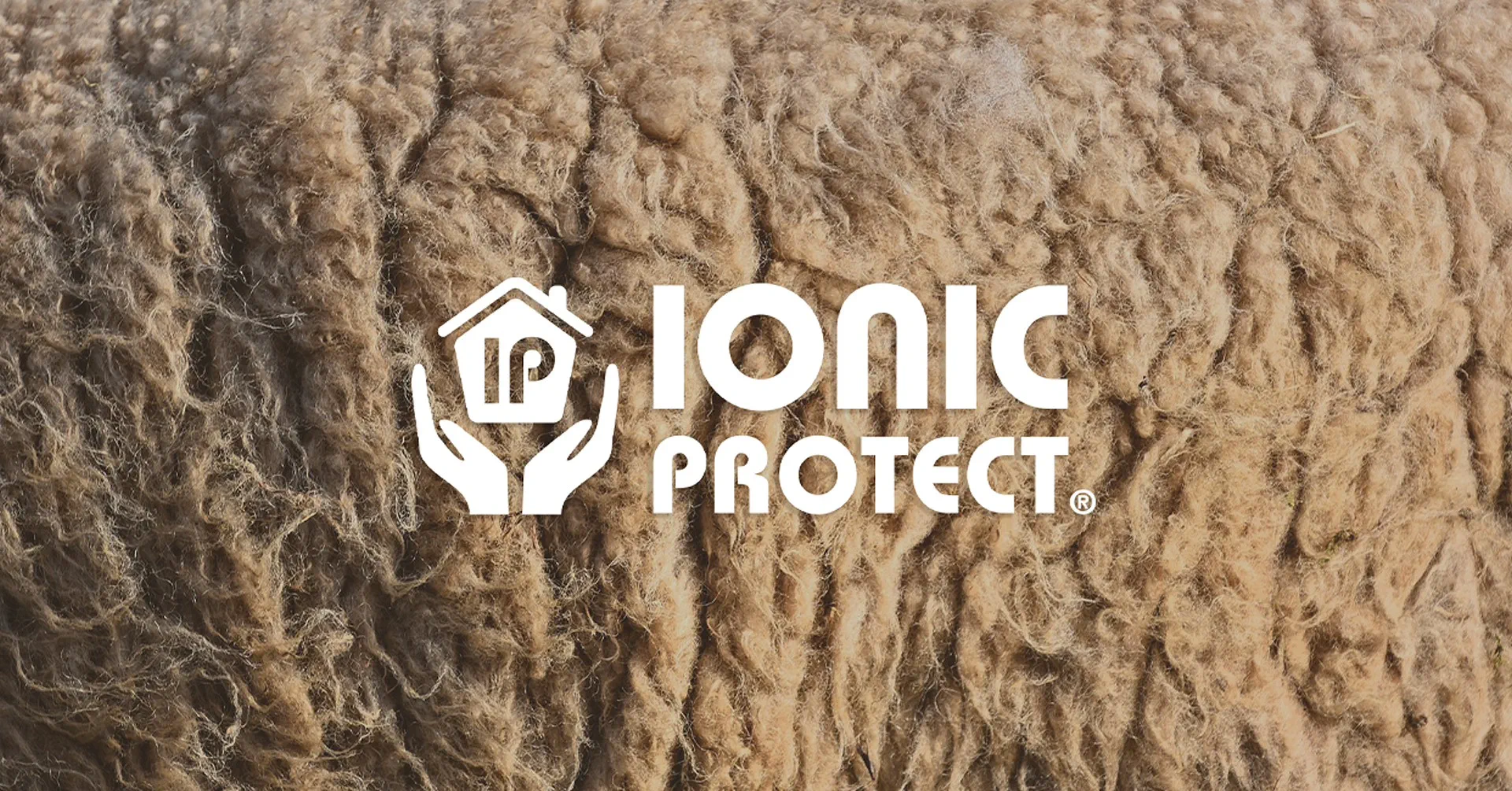 Ionic Protect® – technologia ochrony izolacji z owczej wełny ISOLENA przed szkodnikami