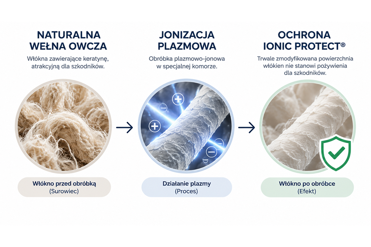 Proces ionic protect